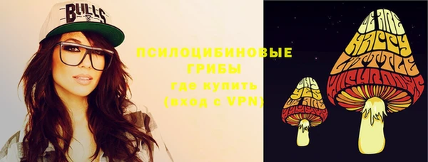 Альфа ПВП Дмитров