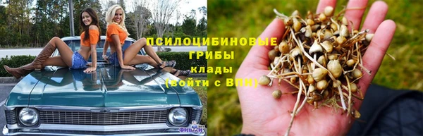 Альфа ПВП Дмитров