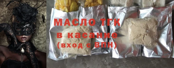 индика Гусев