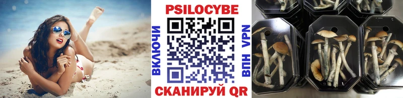 mega зеркало  Облучье  Псилоцибиновые грибы прущие грибы  купить  